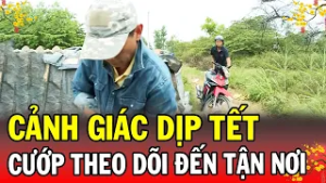 CẢNH GIÁC DỊP TẾT | CƯỚP THEO DÕI ĐẾN TẬN NƠI | Phút Giây Cảnh Giác 2026 | Chuyện Cảnh Giác 2026