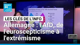 Allemagne : l'AfD, de l'euroscepticisme à l'extrémisme • FRANCE 24