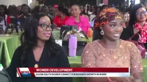 Women Development: South South Women Connect for Business Growth in Warri