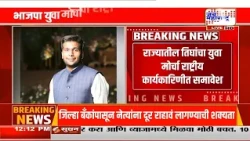 BJP New Karyakarani List : भाजपा युवा मोर्चाची राष्ट्रीय कार्यकारिणी जाहीर, कोणाची लागली वर्णी?