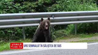 URS SEMNALAT ÎN SĂLIȘTEA DE SUS