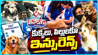 Good News For Pet Owners : ₹5 Lakh To ₹5 Crore Insurance For Cats & Dogs Soon | V6 Teenmaar