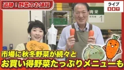 Chinese cabbage prices drop; autumn and winter vegetables arrive in the market one after another;...
