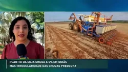 2026/27 Soybeans: Erratic rainfall worries producers in Goiás