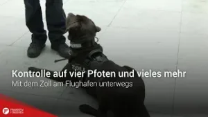 Kontrolle auf vier Pfoten und vieles mehr: Mit dem Zoll am Flughafen unterwegs