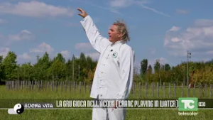 Buona Vita: La gru gioca nell'acqua (crane playing in water)