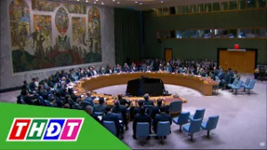 Liên Hợp Quốc nhóm họp khẩn cấp về vụ Mỹ tấn công Iran | THDT