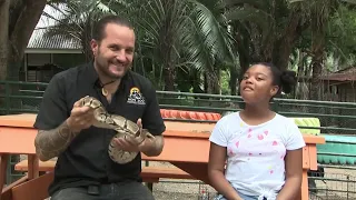 Animal Kingdom! | Meet the Animals at Hope Zoo | TVJ/Children's Own Watch N Win