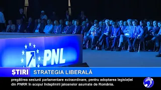 The Liberal Strategy
