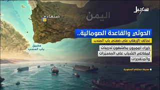 The Terror Alliance on Both Sides of Bab al-Mandab: The Iranian Houthi Militia and the Somali Al-...