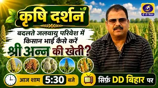 How Can Farmers Grow Millets in a Changing Climate? | Learn Easy and Effective Methods