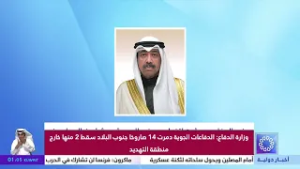 وزير الدفاع يبحث هاتفياً مع وزير الجيوش وشؤون المحاربين القدامى في فرنسا موضوعات مشتركة