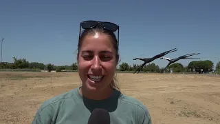 I Flying Horses di Signorini a Peccioli