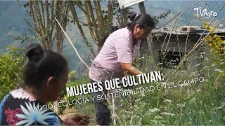 Women Who Farm: Agroecology and Sustainability in the Countryside - TvAgro by Juan Gonzalo Angel