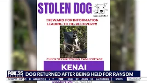 Stolen dog returned safely after being held for ransom