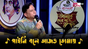 পাইনি বলে আজও তোমায় | Nazrul Sangeet | আমারে দেব না ভুলিতে | GTV