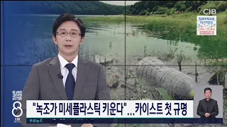 녹조미세플라스틱키워(TJB)