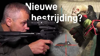 Zo gaat rattenjacht in 2026