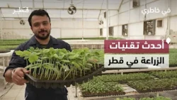 A Tour Inside a Qatari Farm: Revealing the Latest Farming Technologies and Year-Round Vegetable P...
