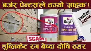 बर्जर पेन्ट्सको रंग ‘कमसल प्रमाणित’ ! १० वर्ष टिक्ने ग्यारेण्टी दिएको रङ ८ महिनामै खुइलियो !