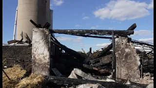 "It's a devastating loss" fire kills horses and destroys barn at Seymour pumpkin patch