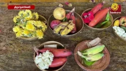தாமிரபரணி ஆற்றில் நடைபெற்ற துலா விஷு தீர்த்தவாரி விழா | Bhakthi News