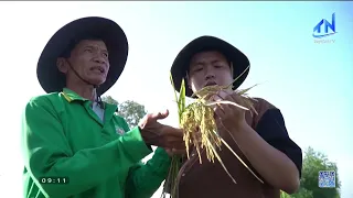 Tay Ninh focuses on value chain-based agricultural development