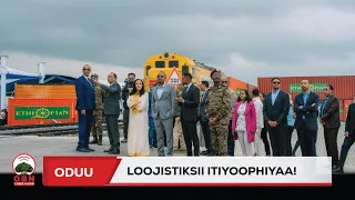 ''Qaamni guddina Itiyoophiyaa daangessuuf carraaqu kamiyyuu hin milkaa’u.'' MMI Abiyyi Ahimad(PhD)