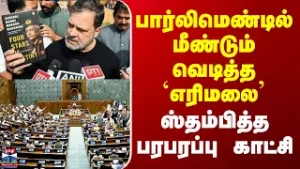 Rahulgandhi | பார்லிமெண்டில் மீண்டும் வெடித்த `எரிமலை’ -  ஸ்தம்பித்த பரபரப்பு காட்சி