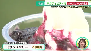 Screaming at the Eniwa Activity Park! A 10m Jump & Delicious Soft-Serve