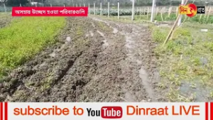 সরকারি জায়গায় অস্থায়ী ভাবে আশ্রয় নেওয়া উচ্ছেদ পরিবারগুলির সঙ্গে অমানবিক আচরণ