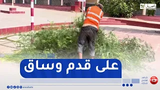 Oran: Intensive preparations to ensure schools are ready for the new academic year