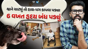 કેવી રીતે પાલતું શ્વાનના ચાટવા માત્રથી એક મહિલાને 6 વખત એટેક આવ્યો, હાથ-પગ કાપવા પડ્યા | Daily Dose