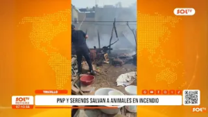 Trujillo: Incendio en Santo Dominguito deja animales a salvo