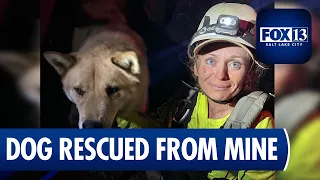 Dog Rescued After Falling Into Abandoned Mine in Utah