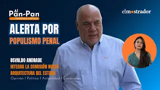 Andrade accuses "penal populism" and takes aim at security reform
