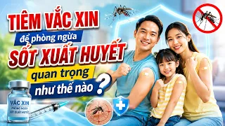 How important is the dengue vaccine for prevention?