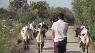 A life among the Berrendas: Alberto's dream come true | Extremadura Territory