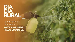 Novos manejos de pragas sugadoras