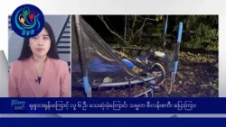 ရုရှားဒရုန်းတိုက်ခိုက်မှုကြောင့် လူ ၆ ဦး သေဆုံးဟု ဇီလန်းစကီးပြော 🌏 နိုင်ငံတကာ သတင်းများ - DVB News