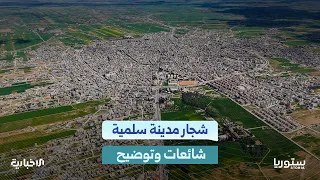 How did commentators respond to attempts to incite sectarian strife in the city of Salamiyah?