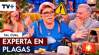 Paty found mice in her house!