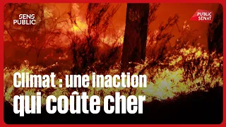 Climate: The High Cost of Inaction