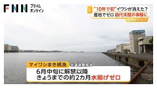 「安くてうまい」イワシが消えた？ 北海道・釧路でマイワシ2カ月水揚げゼロ 港の8割占める主力魚に異変 海水温低下など影響か（2026年08月19日）