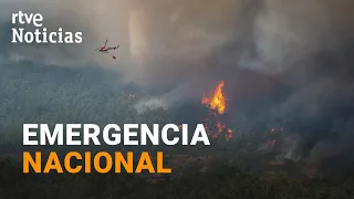 Wildfires spread out of control in the Community of Madrid and Ávila | RTVE News