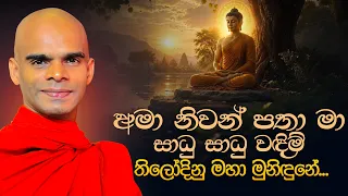 අමා නිවන් පතා මා සාධු සාධු වඳිම්... තිලොදිනු මහා මුනිඳුනේ... | Ven. Bandarawela Santhadeepa Thero