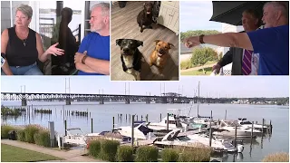 Good Samaritans rescue dogs from drowning in Susquehanna River: 'He was struggling'