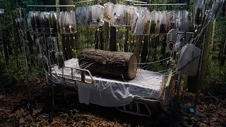 Un hospital de Los Ángeles se convierte en exposición de arte inmersiva