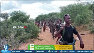 Maxaa ka jira in la lawareegay deegaano katirsan Gobolka Hiiraan.