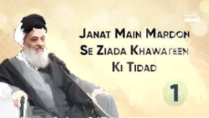 Jannat Me Mardon Se Zyada Khatoon Ki Tadaad | Ayatollah Sayyid Sadiq Hussaini Shirazi Ke Bayanat